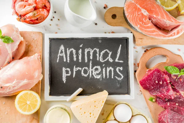 Fuentes de proteínas animales — Foto de Stock