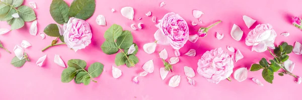 Fundo padrão rosa com rosas — Fotografia de Stock