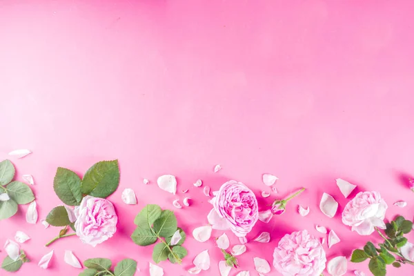 Fundo padrão rosa com rosas — Fotografia de Stock