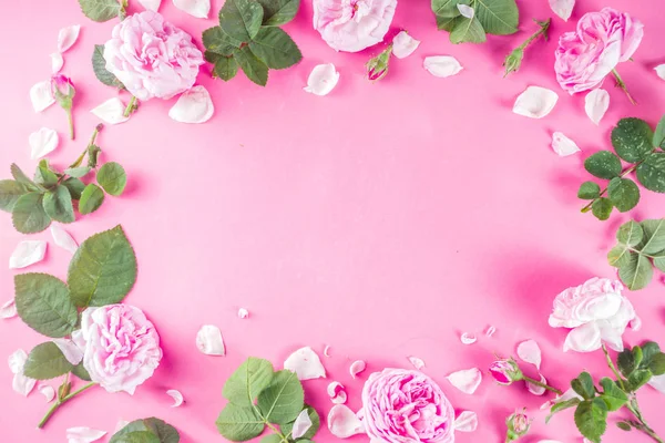 Fundo padrão rosa com rosas — Fotografia de Stock