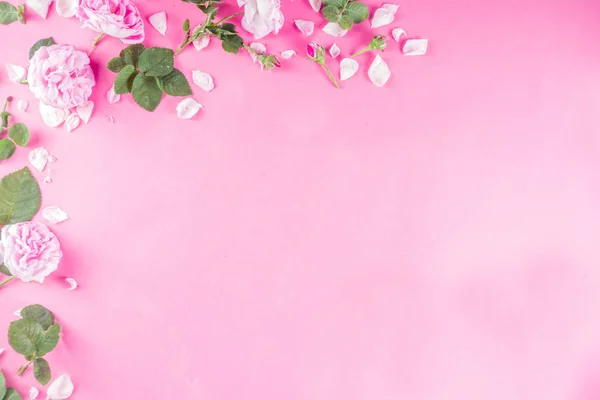 Pink mintás háttér rózsákkal — Stock Fotó