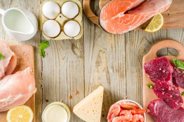 Hayvansal protein kaynakları