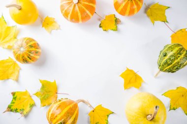 Sonbahar kabakları düzeni