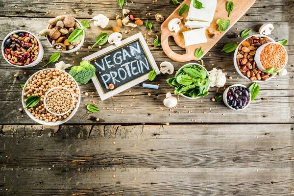 Vegan plant protein sources