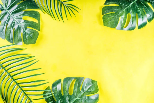 Tropical palm and monstera leaves background