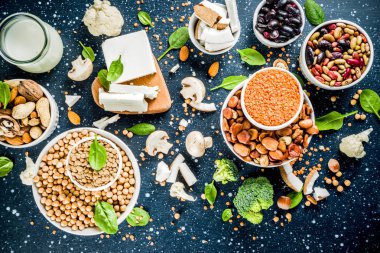 Vegan bitki protein kaynağı