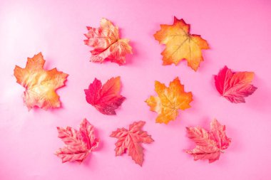 desen basit sonbahar yaprakları