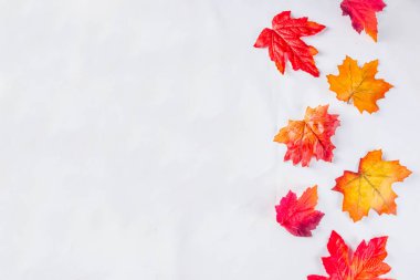 desen basit sonbahar yaprakları