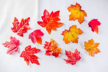 desen basit sonbahar yaprakları