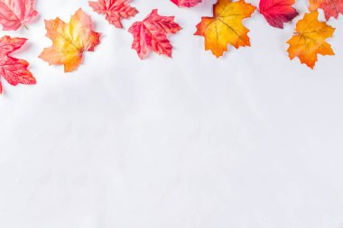 desen basit sonbahar yaprakları