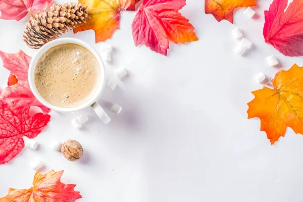 Outono Flatlay com Cappuccino ou chocolate quente — Fotografia de Stock