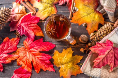 Sıcak baharatlı sonbahar çayı