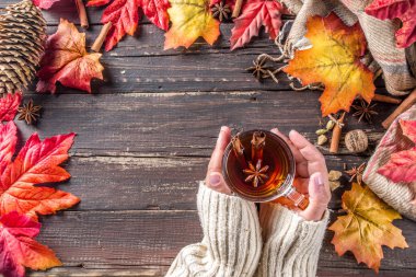 Sıcak baharatlı sonbahar çayı