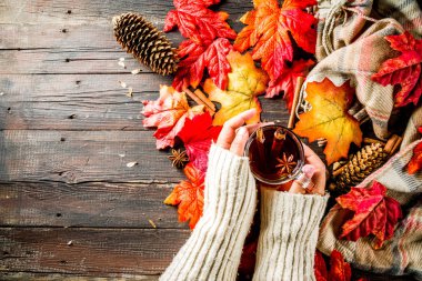 Sıcak baharatlı sonbahar çayı