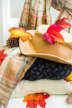 Sonbahar ruh hali kavramı