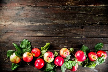 Sonbahar organik çiğ elma, yaprakları ile