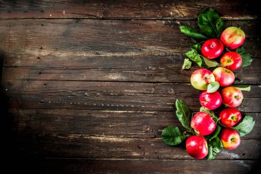 Sonbahar organik çiğ elma, yaprakları ile