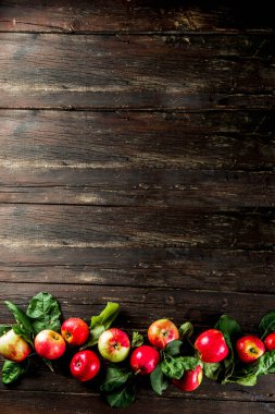 Sonbahar organik çiğ elma, yaprakları ile