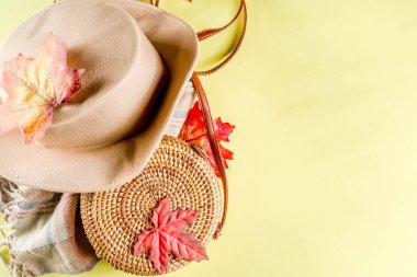 Çok renkli sonbahar arka planı