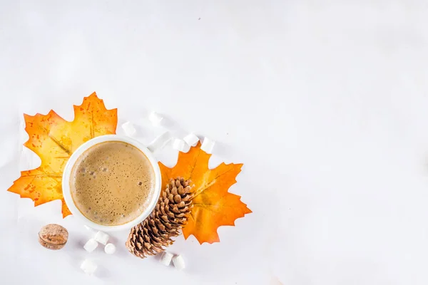 Herbstfladen mit Cappuccino oder heißer Schokolade — Stockfoto