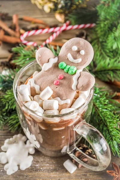 Drôle de cacao de Noël avec guimauve — Photo