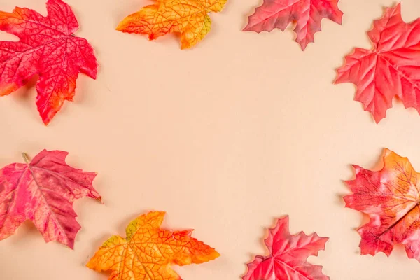 秋のフラットレイの背景 — ストック写真