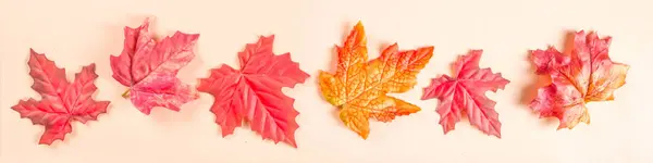秋のフラットレイの背景 — ストック写真
