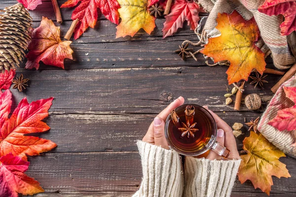 매운 가을 차 — 스톡 사진