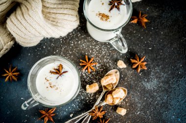 Hollanda sıcak süt içecek Anijsmelk