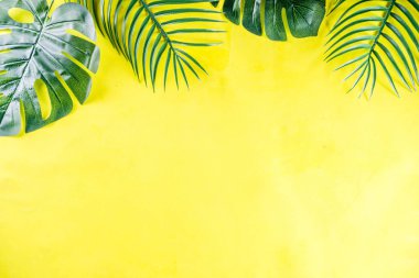 Tropik palmiye ve canavar yaprakları arka planda