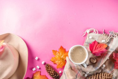 Sonbahar kompozisyon kavramı arka plan. Kapuçino sıcak çikolata fincan, sonbahar parlak yaprakları ile, çam koniler, Marshmallow, keçe şapka ve battaniye. Flatlay pembe trendy arka plan, üst görünüm deseni