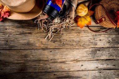 Sonbahar sıcacık arka plan. Sonbahar yürüyüşleri, bahçe rahatlama konsepti. Tahta arka plan, ekose, şapka, hasır çanta, termos çay, kahve, sonbahar yaprakları ve balkabağı. Düz yat, boşluğu kopyala