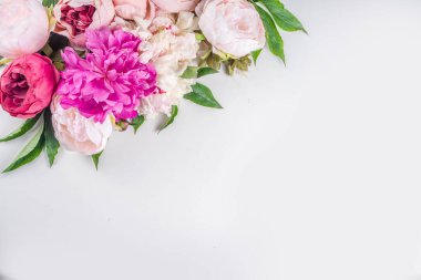 Çiçekler ve yeşil yapraklar düzleşti. Nazik şakayıklar ve kasımpatılar çiçek açar, beyaz arkaplanda kartpostallar için kompozisyon.