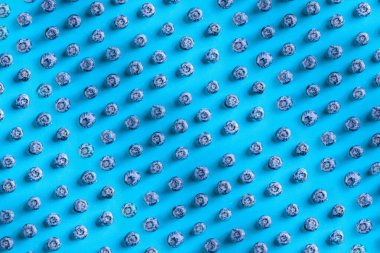 Yaz meyvesi deseni, mavi arka planda yabanmersini, düz üst görünüm. 