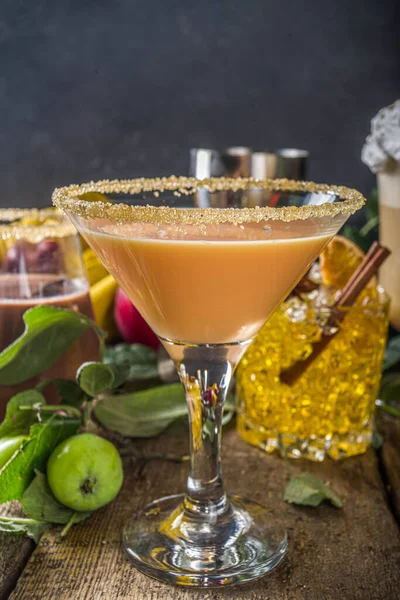 様々な秋の冬のアルコールカクテルセット 伝統的な秋のアルコールと異なるグラスでのアイスドリンク — ストック写真