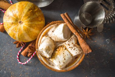 Sıcak balkabağı baharatlı kokteyl, kabak beyazı Rus kokteyli, marşmelov ve balkabağı baharatları, karanlık arka plan fotokopi alanı.