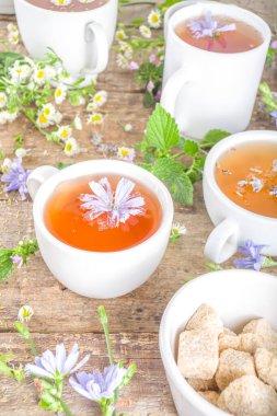 Farklı bitkisel çay seti. Çeşitli fincanlar, organik bitki çayı, papatya çayı, hindiba, nane şekeri, lavanta. Organik doğal içecek konsepti. Sağlık ve dokunulmazlık içecekleri