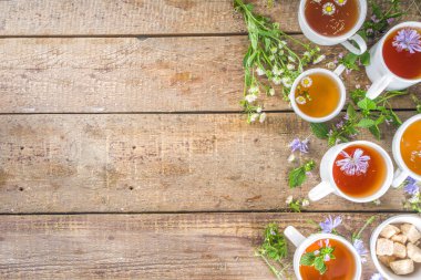 Farklı bitkisel çay seti. Çeşitli fincanlar, organik bitki çayı, papatya çayı, hindiba, nane şekeri, lavanta. Organik doğal içecek konsepti. Sağlık ve dokunulmazlık içecekleri