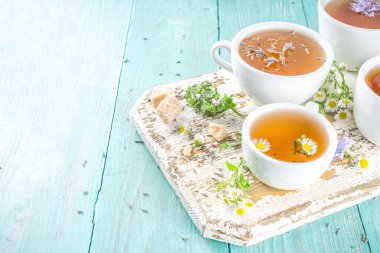 Farklı bitkisel çay seti. Çeşitli fincanlar, organik bitki çayı, papatya çayı, hindiba, nane şekeri, lavanta. Organik doğal içecek konsepti. Sağlık ve dokunulmazlık içecekleri