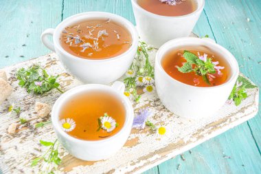 Farklı bitkisel çay seti. Çeşitli fincanlar, organik bitki çayı, papatya çayı, hindiba, nane şekeri, lavanta. Organik doğal içecek konsepti. Sağlık ve dokunulmazlık içecekleri