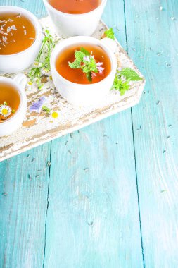 Farklı bitkisel çay seti. Çeşitli fincanlar, organik bitki çayı, papatya çayı, hindiba, nane şekeri, lavanta. Organik doğal içecek konsepti. Sağlık ve dokunulmazlık içecekleri