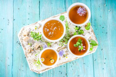 Farklı bitkisel çay seti. Çeşitli fincanlar, organik bitki çayı, papatya çayı, hindiba, nane şekeri, lavanta. Organik doğal içecek konsepti. Sağlık ve dokunulmazlık içecekleri