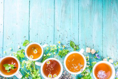 Farklı bitkisel çay seti. Çeşitli fincanlar, organik bitki çayı, papatya çayı, hindiba, nane şekeri, lavanta. Organik doğal içecek konsepti. Sağlık ve dokunulmazlık içecekleri