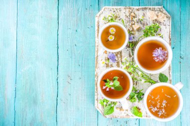 Farklı bitkisel çay seti. Çeşitli fincanlar, organik bitki çayı, papatya çayı, hindiba, nane şekeri, lavanta. Organik doğal içecek konsepti. Sağlık ve dokunulmazlık içecekleri