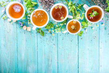 Farklı bitkisel çay seti. Çeşitli fincanlar, organik bitki çayı, papatya çayı, hindiba, nane şekeri, lavanta. Organik doğal içecek konsepti. Sağlık ve dokunulmazlık içecekleri