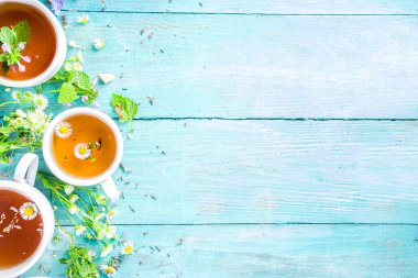 Farklı bitkisel çay seti. Çeşitli fincanlar, organik bitki çayı, papatya çayı, hindiba, nane şekeri, lavanta. Organik doğal içecek konsepti. Sağlık ve dokunulmazlık içecekleri