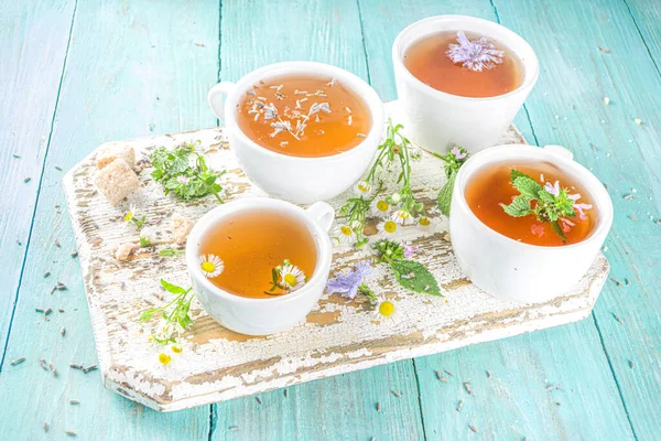 Farklı bitkisel çay seti. Çeşitli fincanlar, organik bitki çayı, papatya çayı, hindiba, nane şekeri, lavanta. Organik doğal içecek konsepti. Sağlık ve dokunulmazlık içecekleri