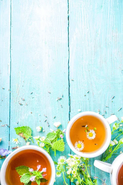 不同的草药茶具采购产品各种杯子与有机草本植物 薰衣草 有机天然饮料的概念 保健和免疫饮料 — 图库照片