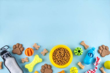 Parlak arka planda köpek ve kedi için yiyecek, atıştırmalık, oyuncak ve aksesuarlı düz bir kompozisyon vardı. Hayvan bakımı, köpek alışverişi ve satış konsepti. Üst görünüm kopya alanı