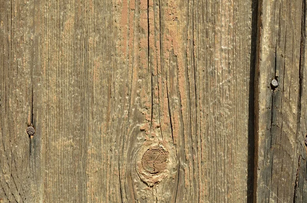 Ein Glattes Braunes Holzbrett Mit Rissen Und Einem Nagel Eine — Stockfoto